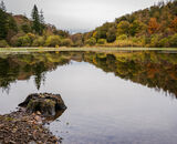 3rd Place: Yew Tree Tarn