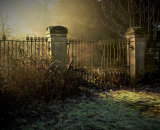 Commended - Old Gates Into The Mist