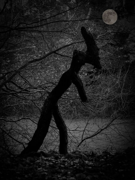 Certificate: Something Wicked This Way Comes