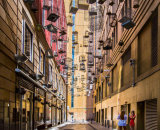 Commended: Sydney Street Dedicated to the memory of Lost Songbirds