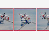 Commended: Wing Walkers