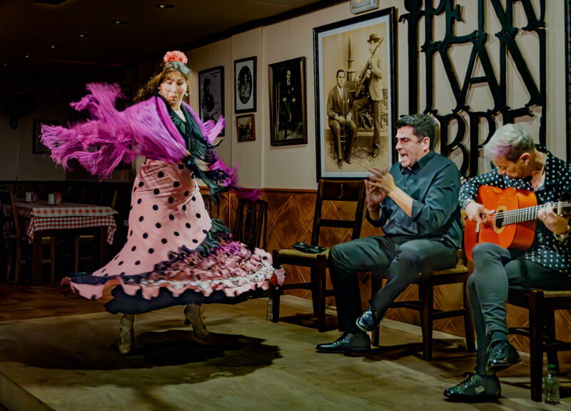 Commended: The Tradition and Passion of Flamenco