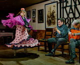 Commended: The Tradition and Passion of Flamenco