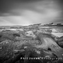 The Submerged Forest, Borth