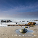 Submerged Forest, Borth