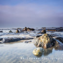 Submerged Forest, Borth
