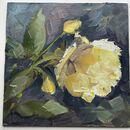Yellow rose