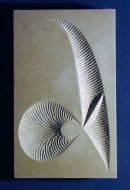 Objects of Communication