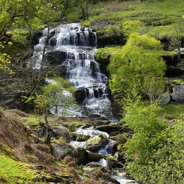 Nant y Sarn Waterfall spring trees