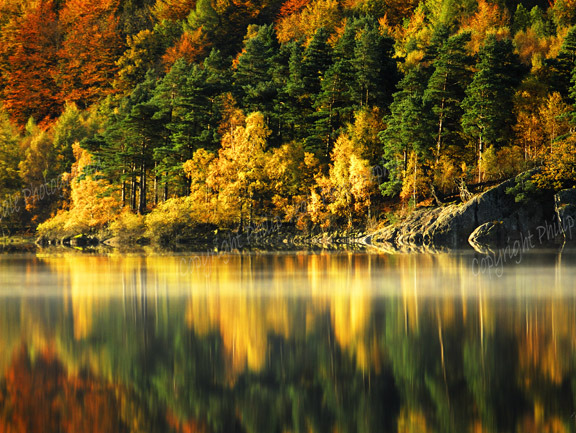 Reflections of Autumn, Buttermere.