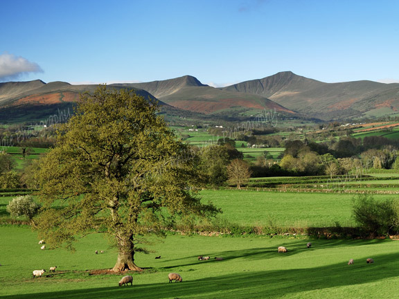 Spring,Brecon Beacons.