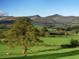 Spring,Brecon Beacons.