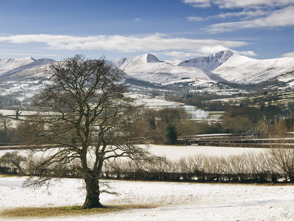 Pen y Fan and Cribyn.