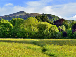 Sugar Loaf from Castle Meadows.
