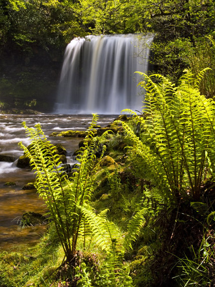 Spring, Sgwd Yr Eira.