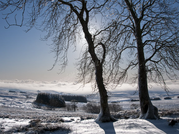 Mynydd Epynt in winter.