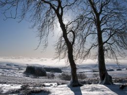 Mynydd Epynt in winter.