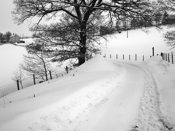 Winter at Reservoir House, Jan. 2010.