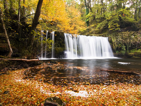 Sgwd Ddwli in Autumn.