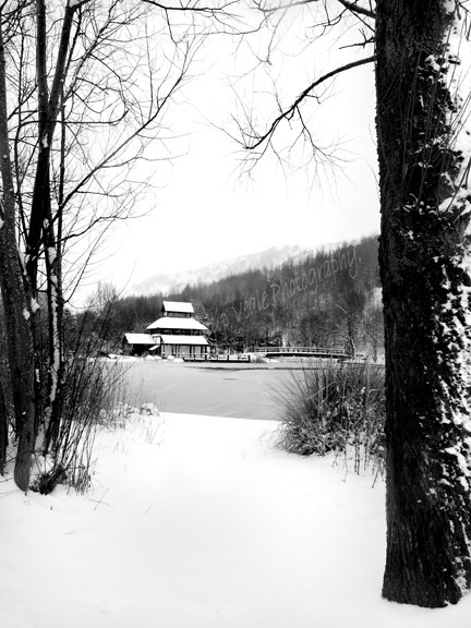 The Festival Park in Winter.
