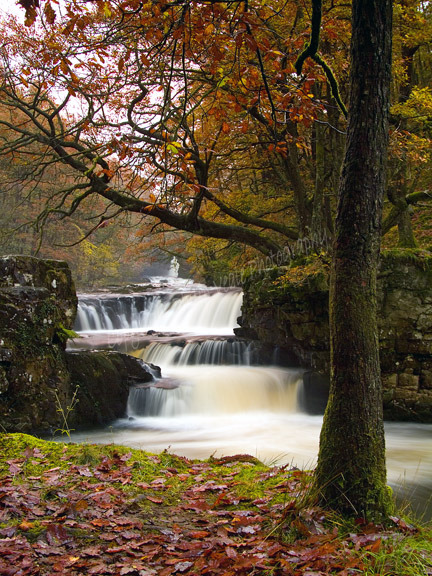 The Horse Shoe Falls.