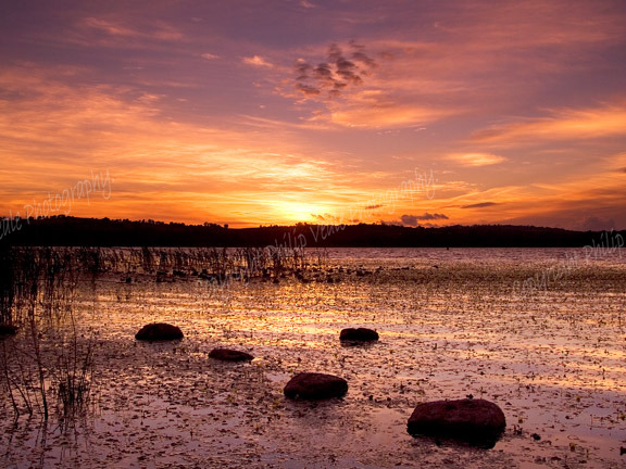 Llangorse Lake Sunset.