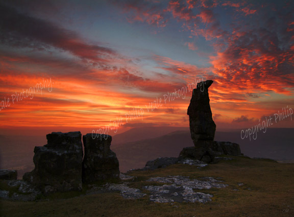 The Lonely Shepherd.