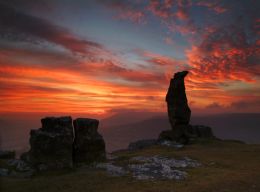 The Lonely Shepherd.