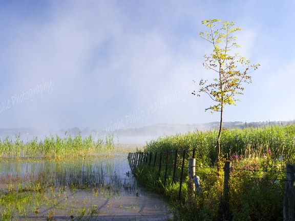 Mist rising,Llangorse Lake.