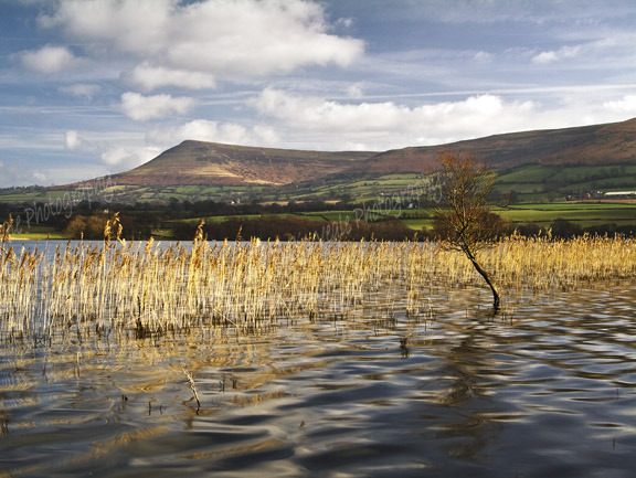 Mynydd Troed from Llangorse Lake.