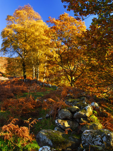 Autumn above Ashness Bridge.
