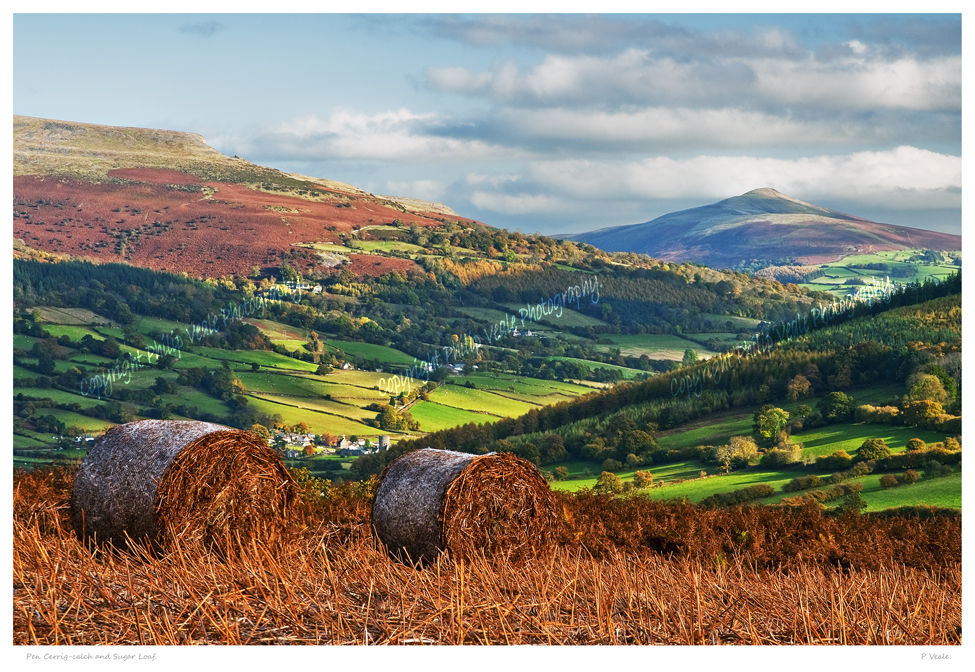 Pen Cerrig-calch and Sugar Loaf.