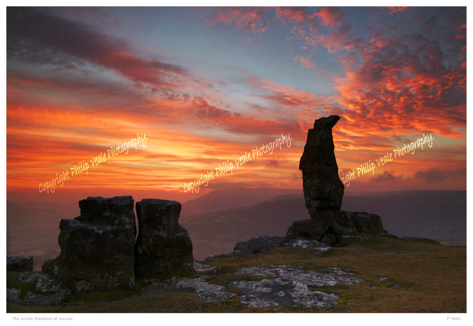 The Lonely Shepherd at sunrise.