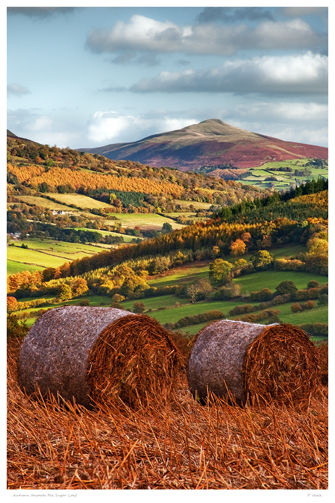 Autumn towards the Sugar Loaf.