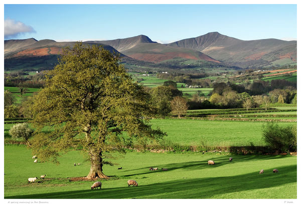A spring morning in the Beacons.