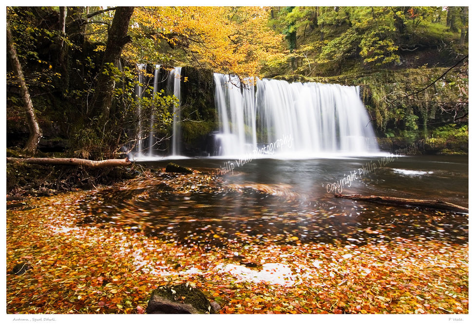 Autumn, Sgwd Ddwli.