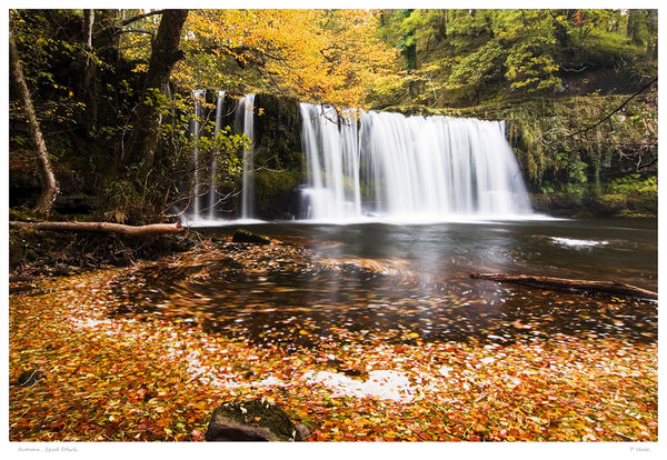 Autumn, Sgwd Ddwli.