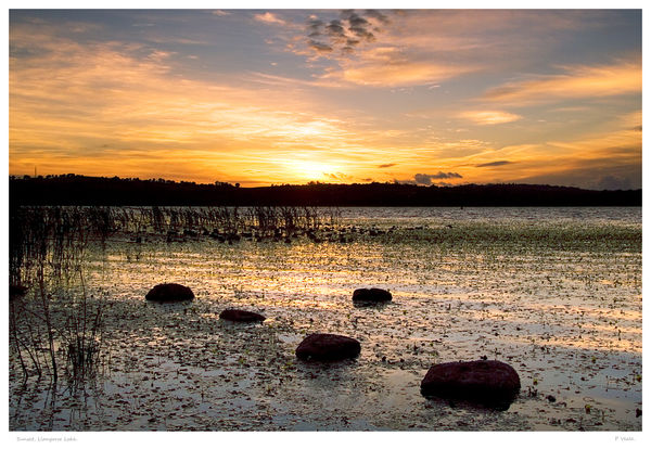 Sunset, Llangorse Lake.