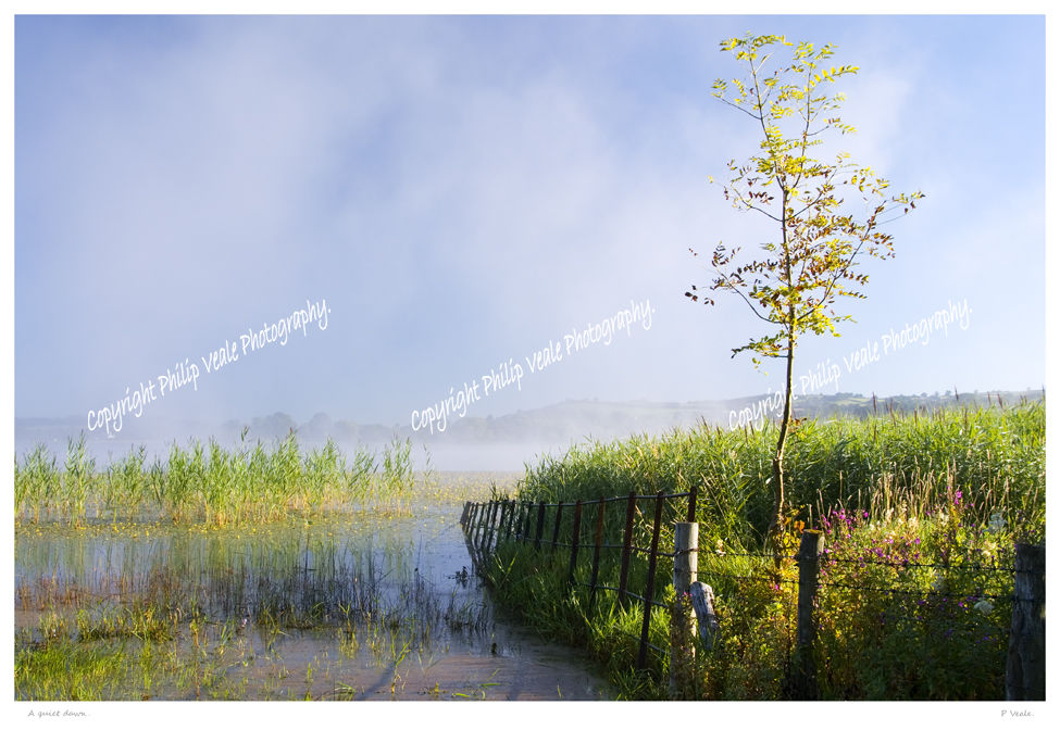 Mist rising,Llangorse Lake.