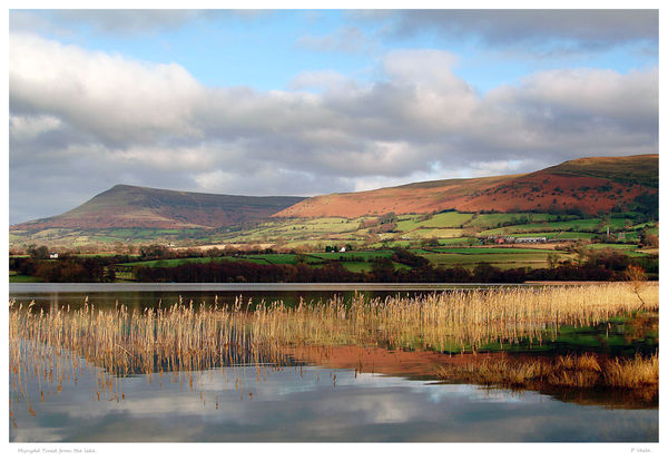 Mynydd Troed,Llangorse.