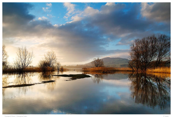Tranquil Dawn.Llangorse Lake.