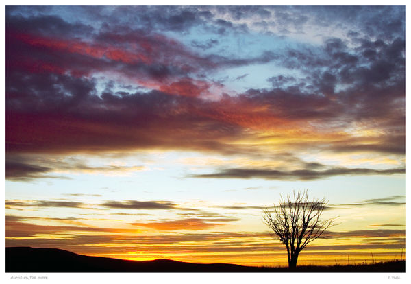 Alone on the moor.