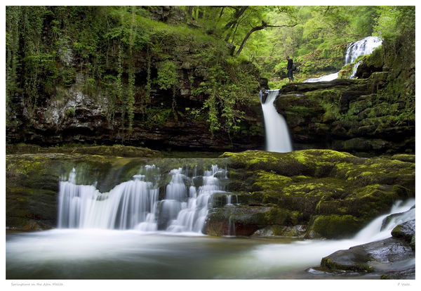 Springtime on the Afon Mellite.