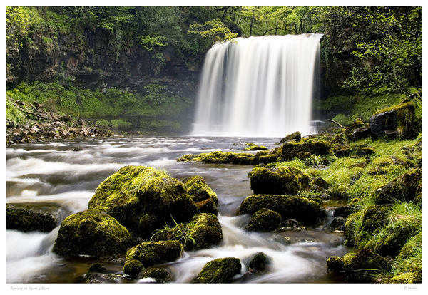 Spring at Sgwd Yr Eira.