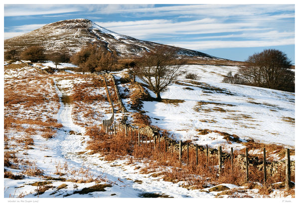 Winter on the Sugar Loaf.