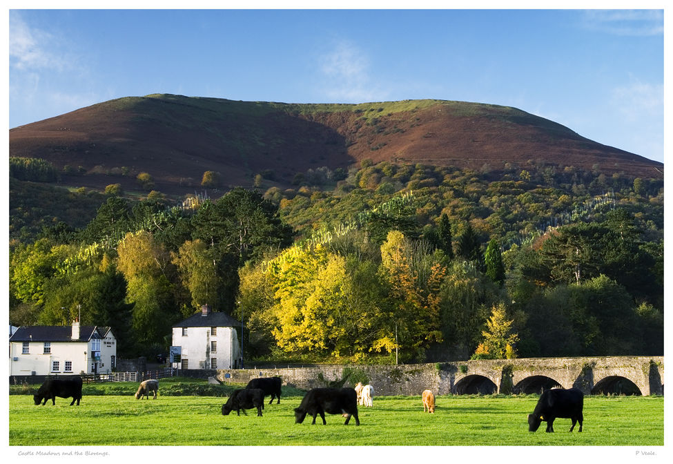 Castle Meadows and Blorenge.