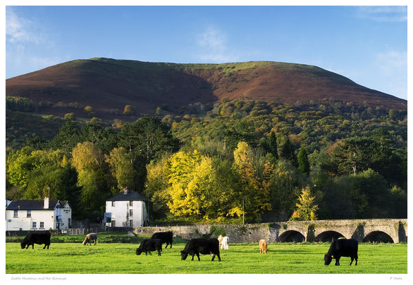 Castle Meadows and Blorenge.