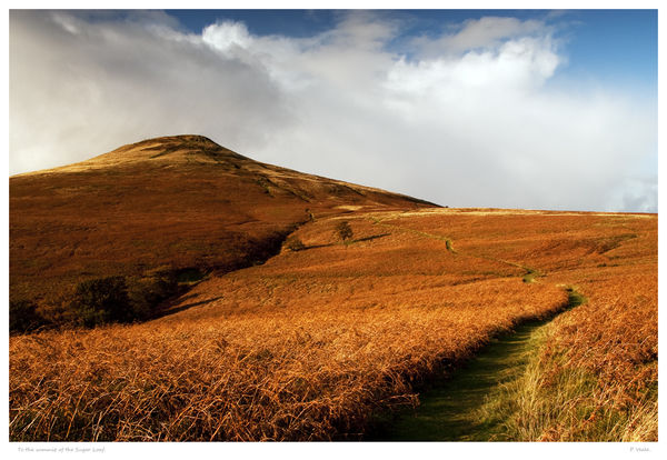 To the summit of the Sugar Loaf.
