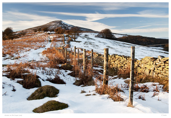 The Sugar Loaf.