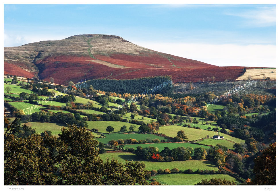 The Sugar Loaf.